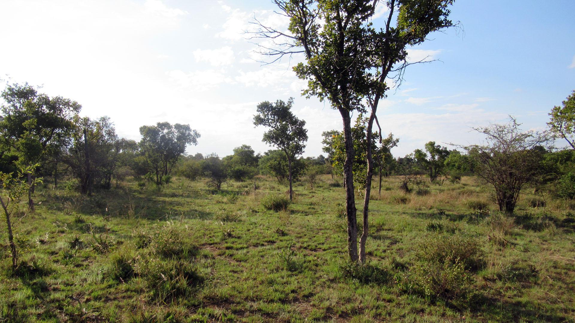 Standard Bank EasySell Land for Sale in Pretoria Rural - MR3