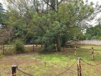 Backyard of property in Three Rivers