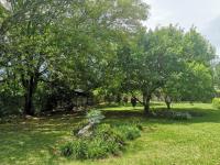 Backyard of property in Glencoe