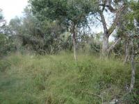 Front View of property in Koro Creek Golf Estate