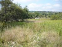 Front View of property in Koro Creek Golf Estate