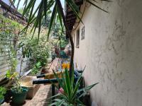 Backyard of property in Nelspruit Central