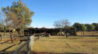 Backyard of property in Valley Settlement