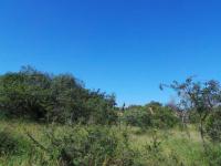  of property in Hoedspruit