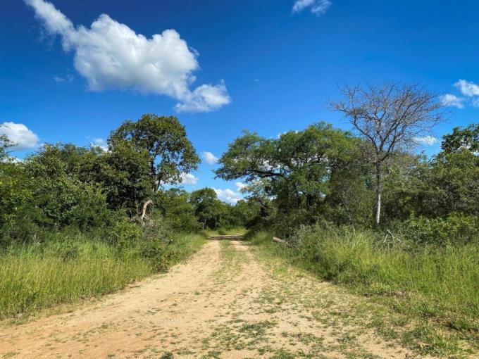 Land for Sale For Sale in Hoedspruit - MR464935