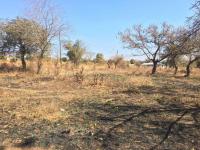  of property in Thohoyandou