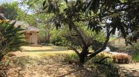 Backyard of property in Ferndale - JHB