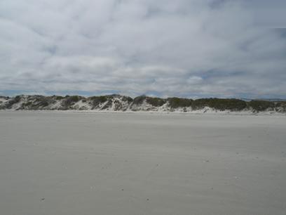 Land for Sale For Sale in Yzerfontein - Home Sell - MR48337