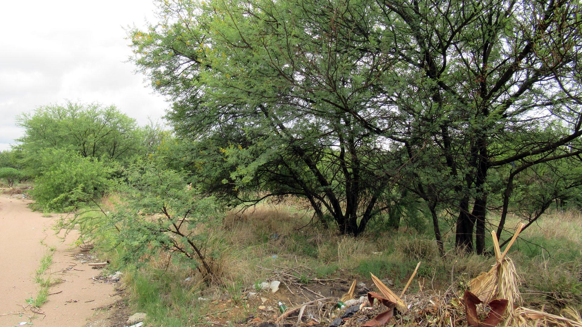 Front View of property in Schoemansville