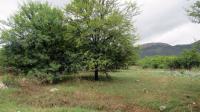 Front View of property in Schoemansville