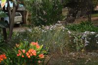 Backyard of property in Boschkop