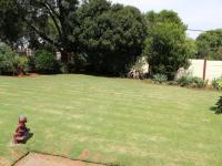 Backyard of property in Golf Park