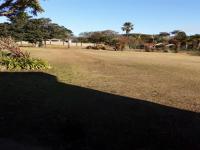 Backyard of property in Paulpietersburg