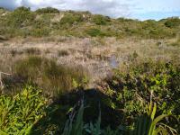  of property in Pringle Bay