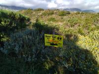  of property in Pringle Bay