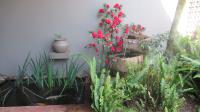 Garden of property in Northcliff