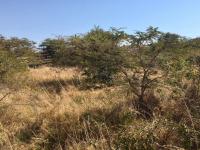  of property in Thohoyandou