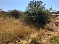  of property in Thohoyandou