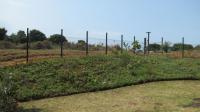 Backyard of property in Sibaya Precinct 