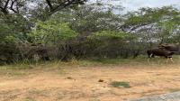 Front View of property in Koro Creek Golf Estate