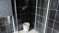 Bathroom 2 - 4 square meters of property in Phoenix