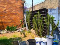 Backyard of property in Turffontein