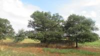 Front View of property in Homestead Apple Orchards AH