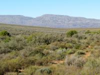  of property in Montagu