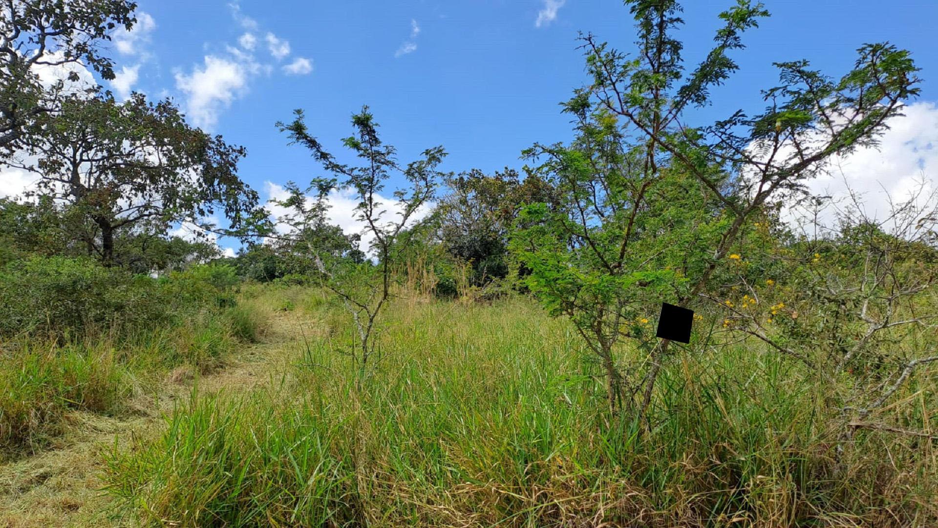 Front View of property in Wild Fig Country Estate