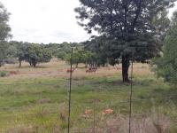  of property in Pretoria Rural