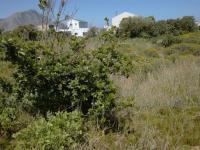  of property in Bettys Bay