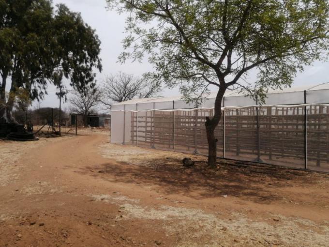 Smallholding for Sale For Sale in Tweefontein - MR557199