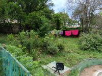 Backyard of property in King Williams Town