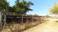 Backyard of property in Pretoria Rural