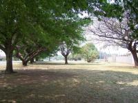  of property in Brenthurst