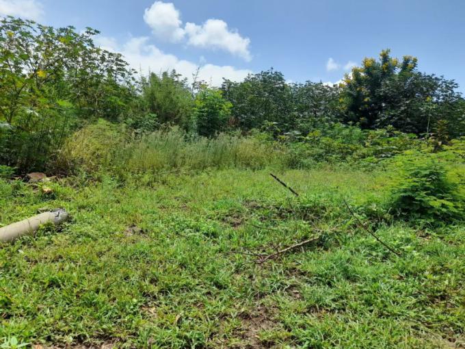 Land for Sale For Sale in Cashan - MR564489