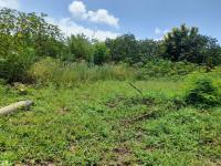 Land for Sale for sale in Cashan