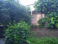 Backyard of property in Queensburgh