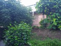 Backyard of property in Queensburgh