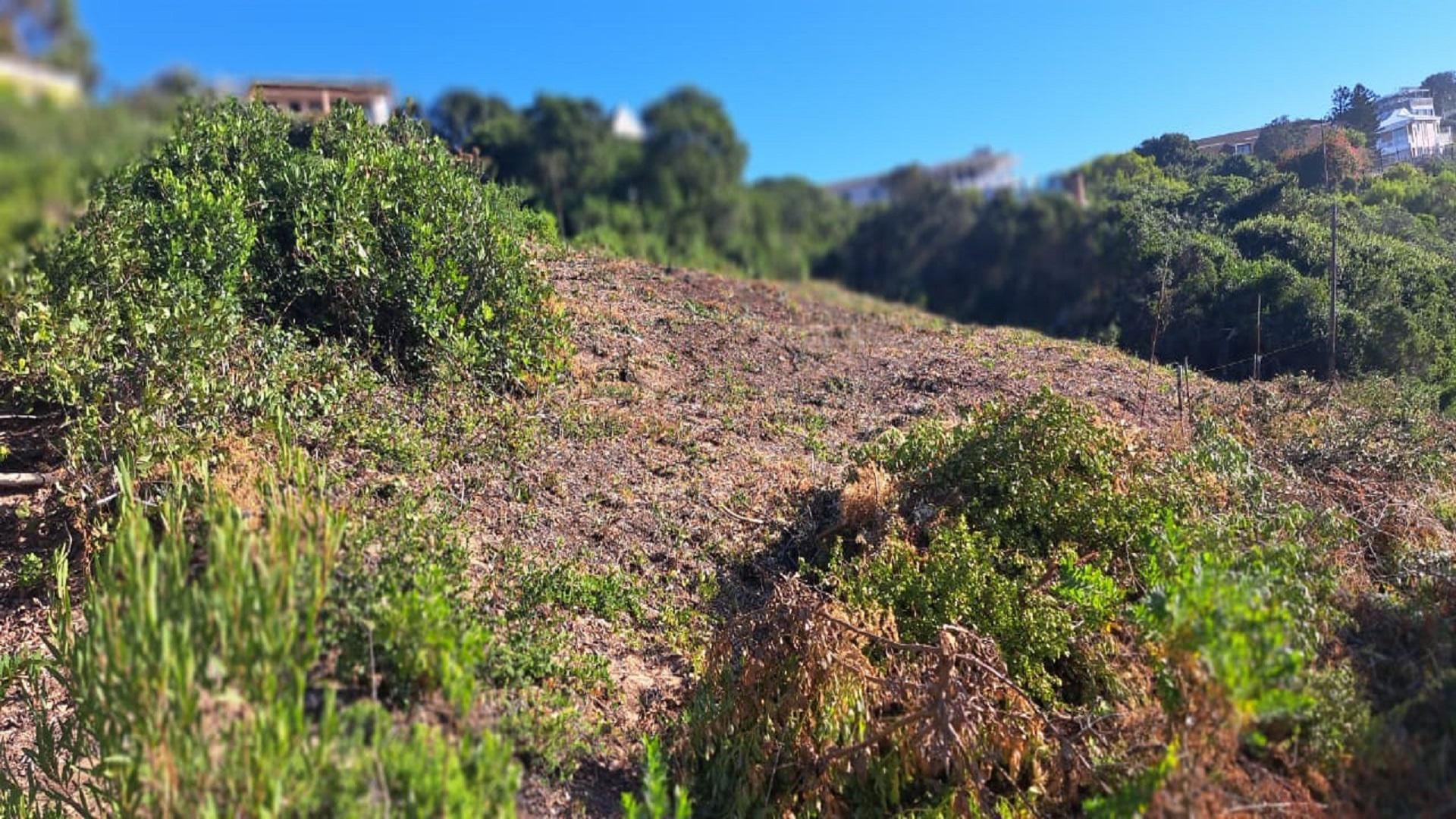 Front View of property in Wilderness