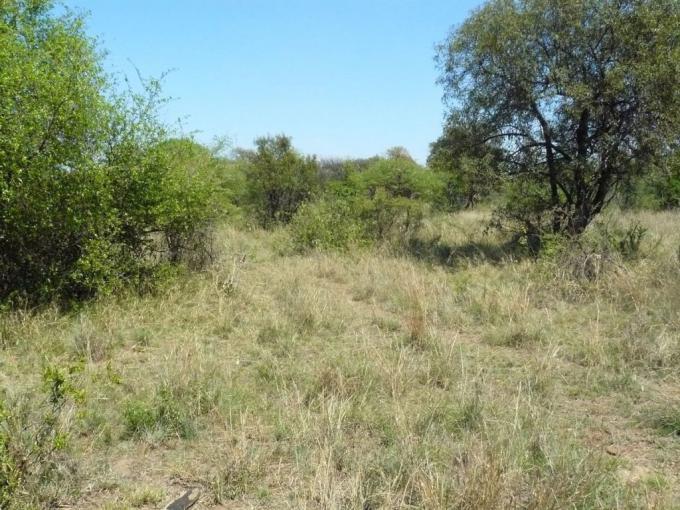 Land for Sale For Sale in Buffelsdrift - MR579436