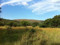  of property in Modimolle (Nylstroom)