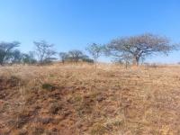  of property in Estcourt