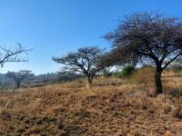  of property in Estcourt