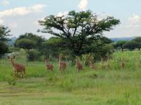  of property in Pebble Rock