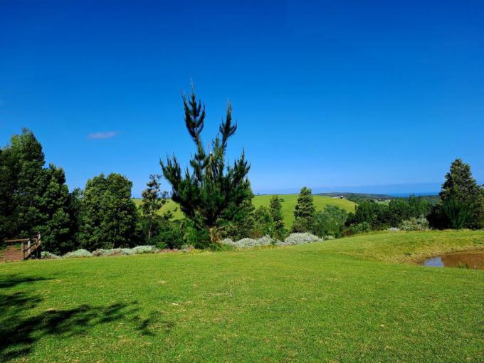 Smallholding for Sale For Sale in Plettenberg Bay - MR596060