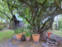 Backyard of property in George Central