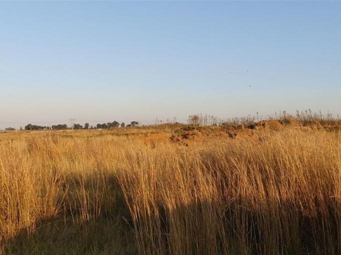 Land for Sale For Sale in Middelburg - MP - MR621456