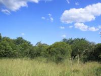  of property in Hoedspruit