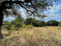  of property in Hoedspruit